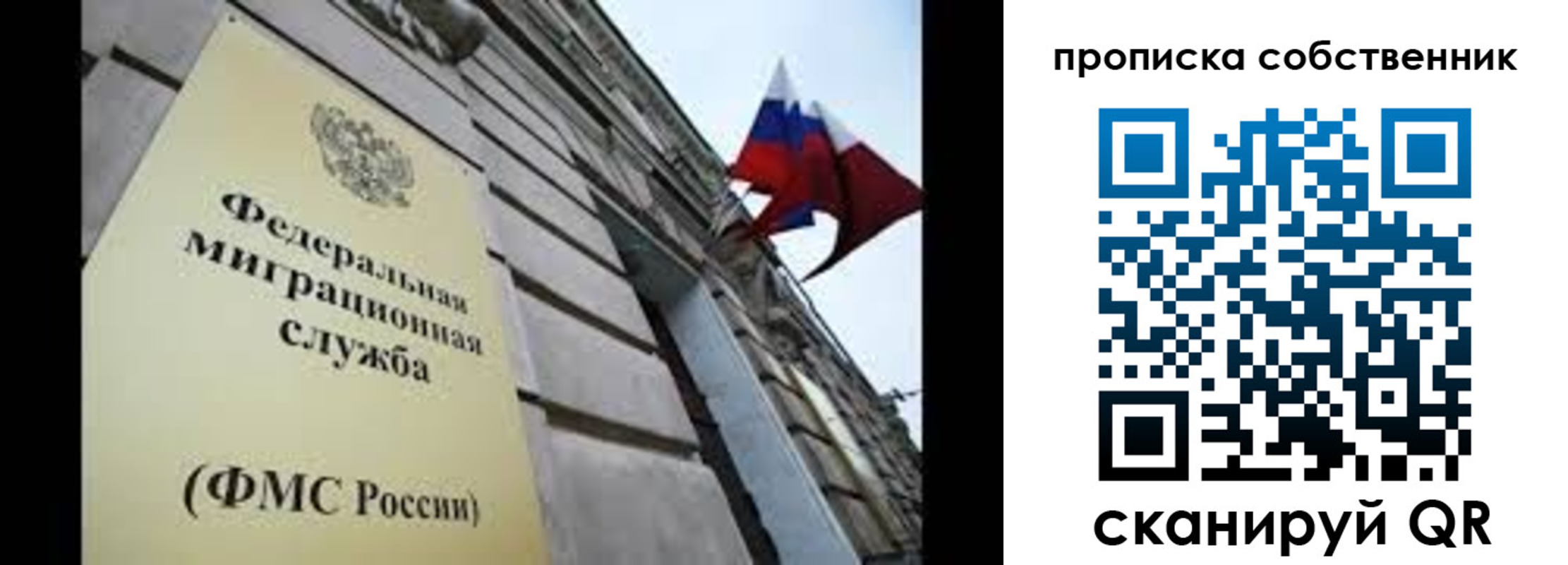 прописка гарантия в Мурино